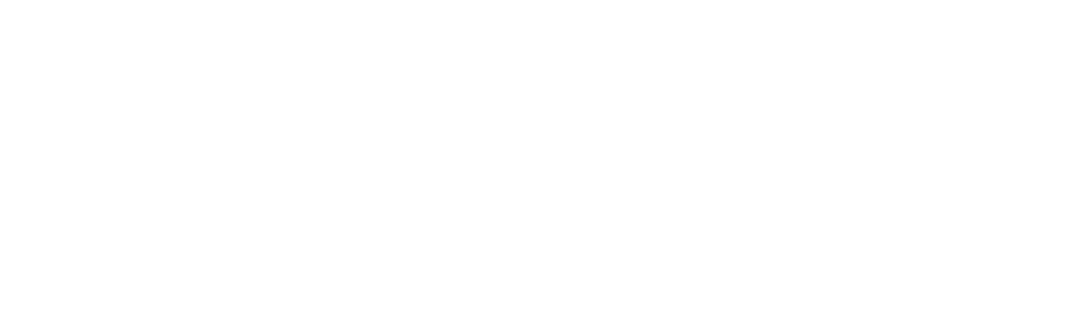 Driver 2 Logo